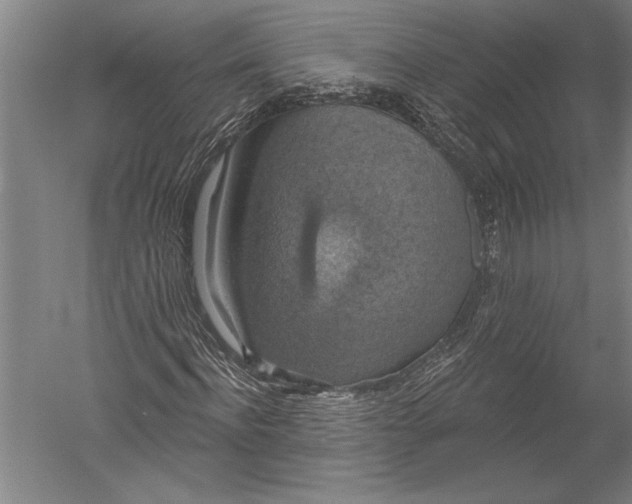 X0000051260916200507082213