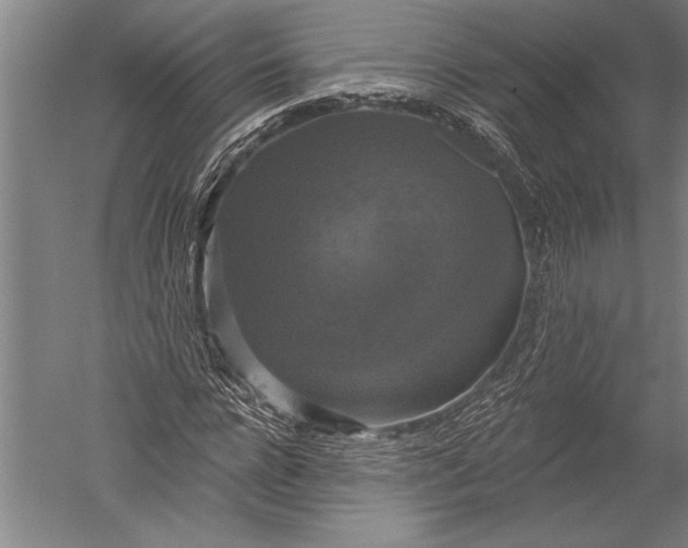 X0000051260920200507082213