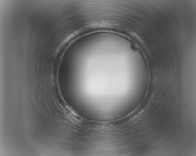 X0000051260922200507082213