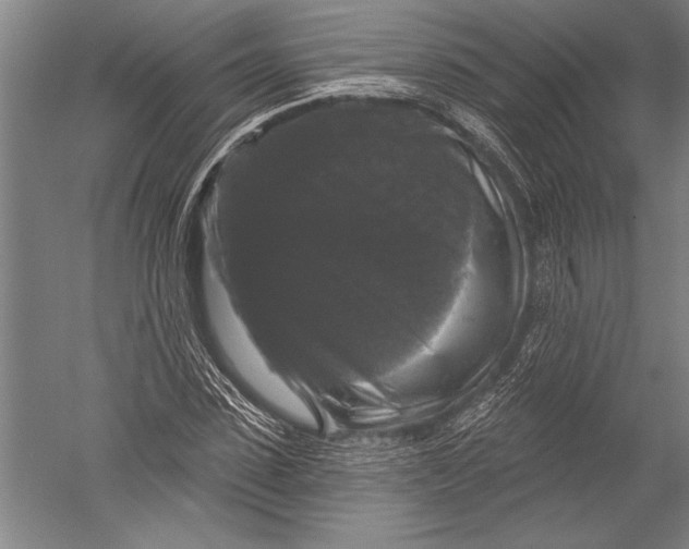 X0000051260923200507082213