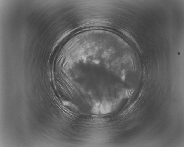 X0000051260925200507082213