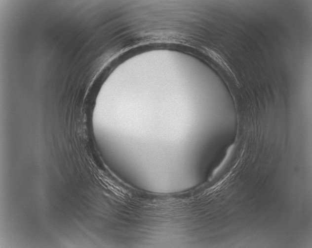 X0000051260926200507082213