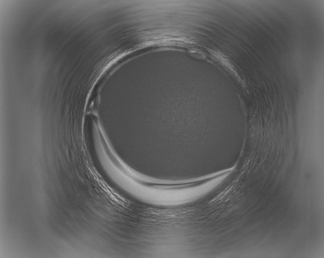 X0000051260932200507082213