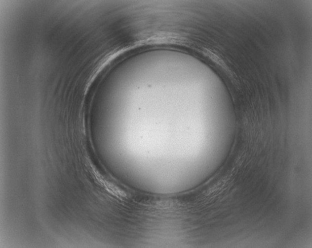 X0000051260934200507082213