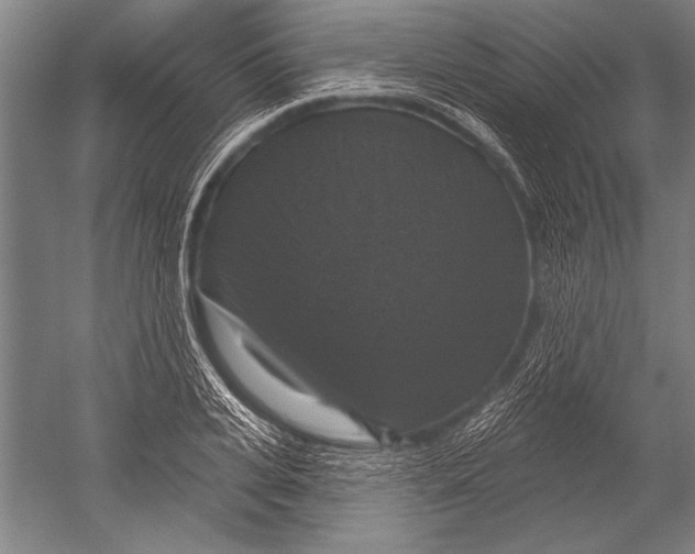 X0000051260935200507082213