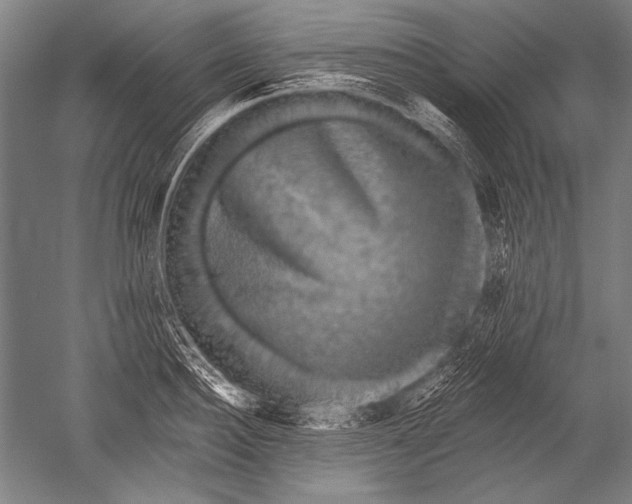 X0000051260940200507082213