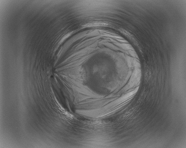 X0000051260945200507082213