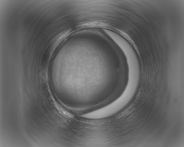 X0000051260946200507082213
