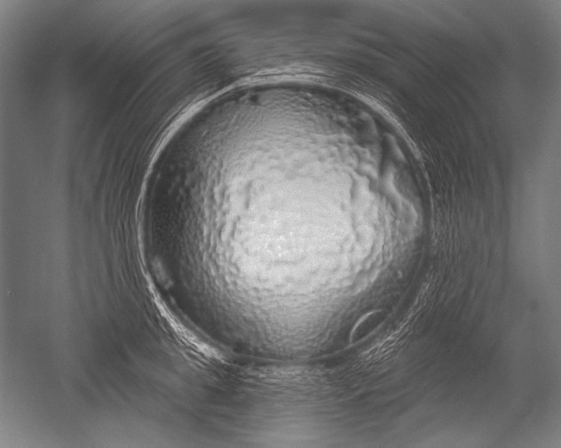 X0000051260949200507082213