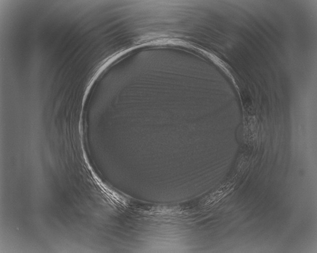 X0000051260951200507082213