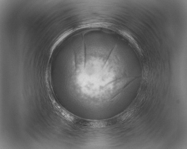 X0000051260952200507082213