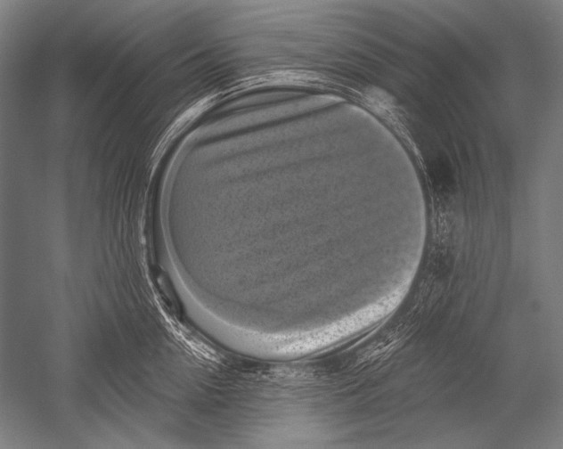 X0000051260954200507082213
