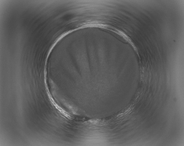X0000051260955200507082213