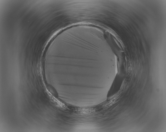 X0000051260958200507082213