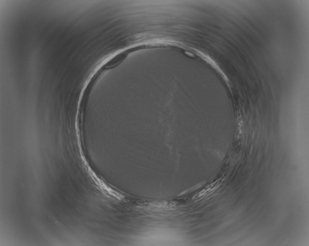 X0000051260959200507082213