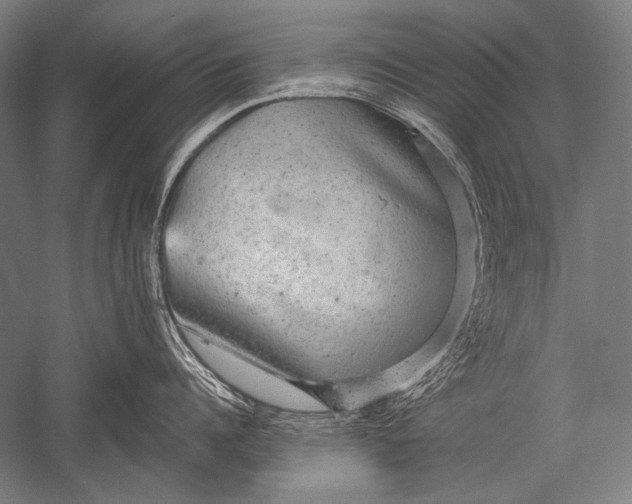 X0000051260960200507082214