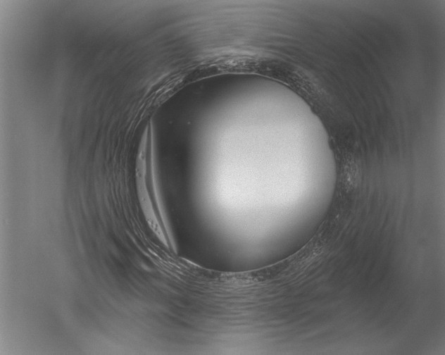 X0000051260964200507082213