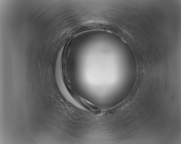 X0000051260965200507082213
