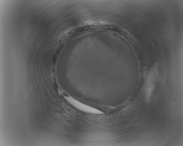 X0000051260966200507082213