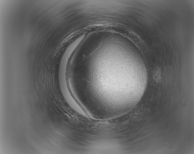 X0000051260968200507082213