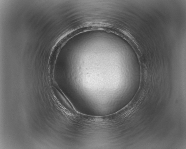 X0000051260971200507082213