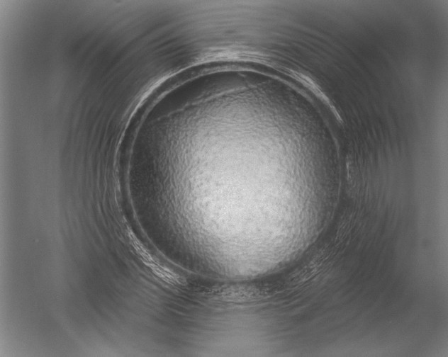 X0000051260972200507082213