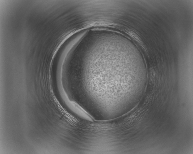 X0000051260976200507082212