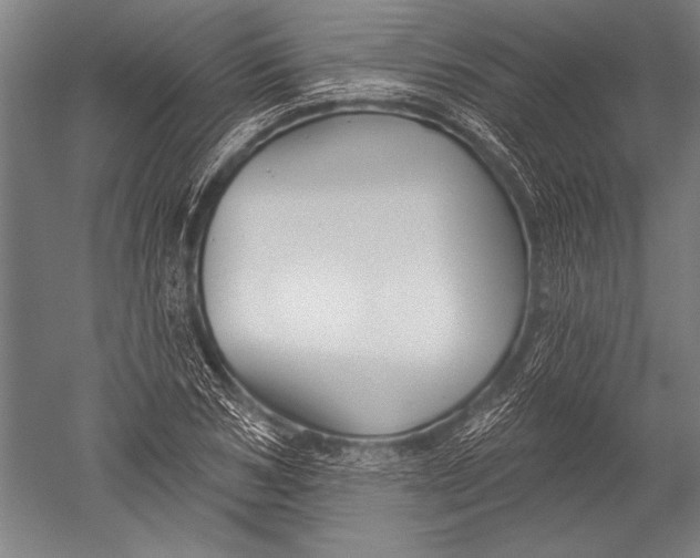 X0000051260978200507082212