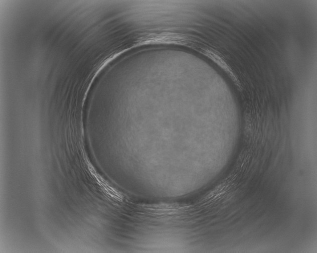 X0000051260980200507082212