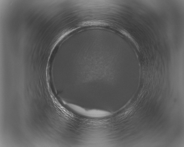 X0000051260983200507082212
