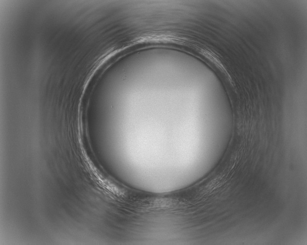 X0000051260984200507082212