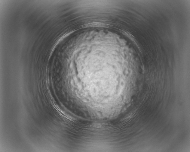 X0000051260987200507082212