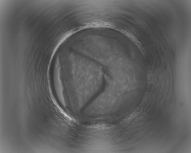 X0000051260990200507082212