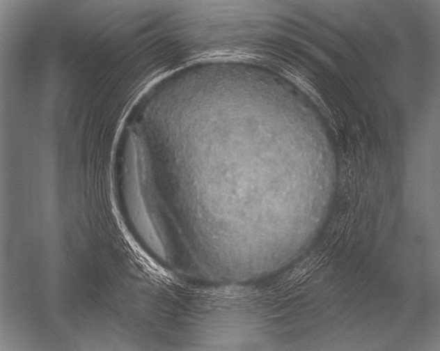 X0000051260992200507082212