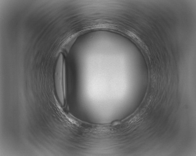 X0000051260993200507082212