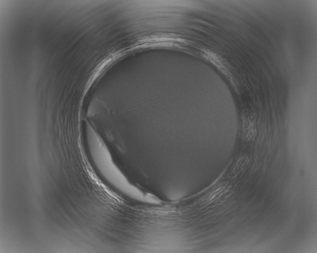 X0000051260994200507082212