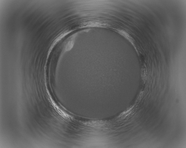 X0000051260995200507082212