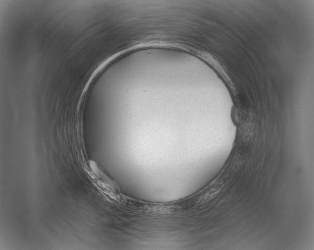 X0000051261004200507082212