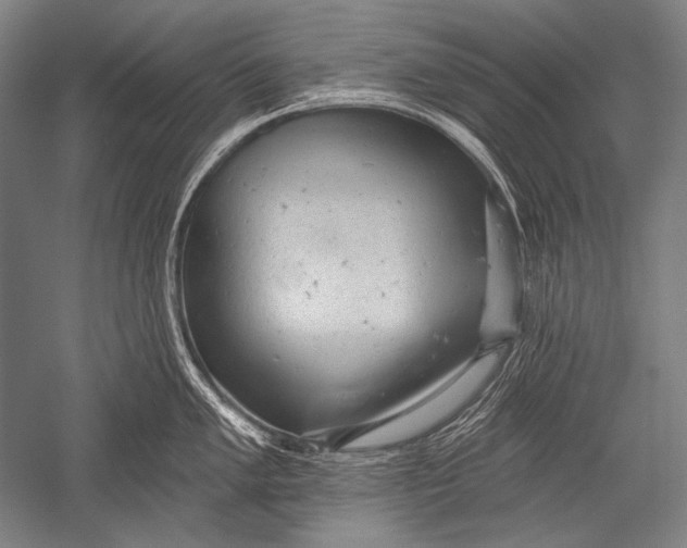 X0000051261005200507082212