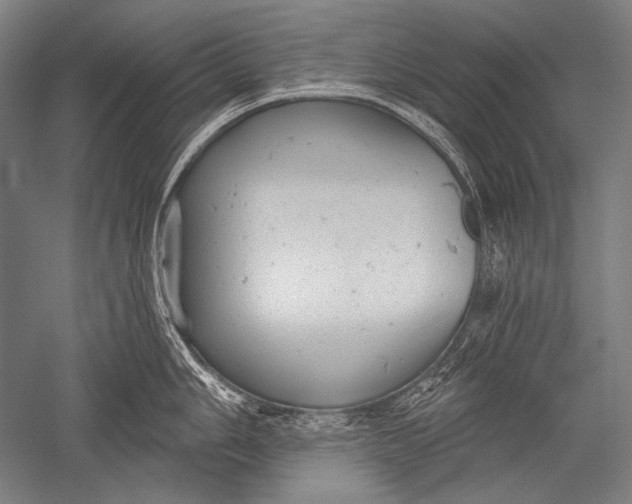 X0000051261006200507082212