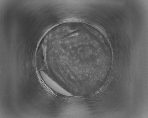 X0000051261008200507082212
