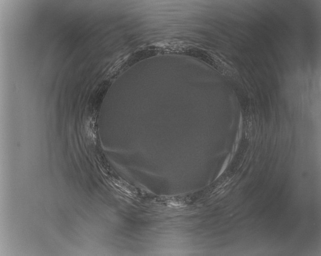 X0000051261010200507082211