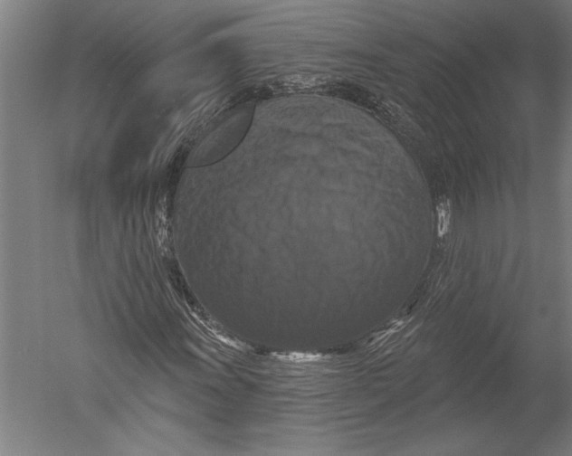 X0000051261011200507082211