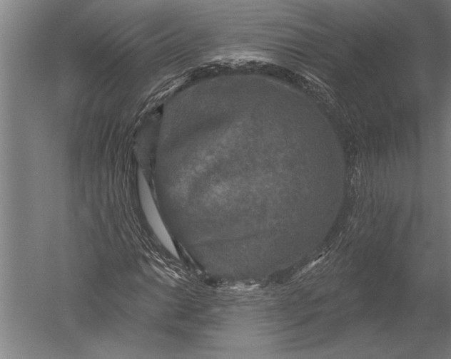 X0000051261014200507082211