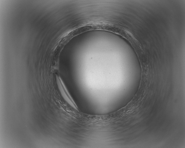 X0000051261016200507082211