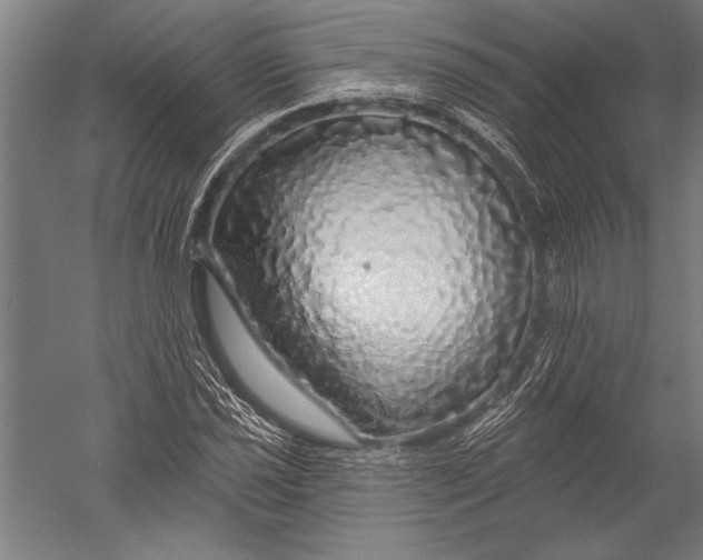 X0000051261021200507082211