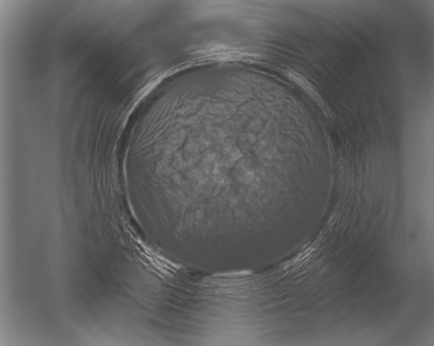 X0000051261023200507082211