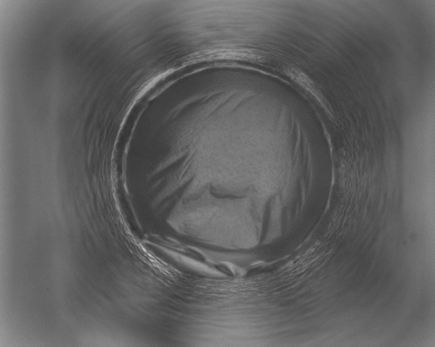 X0000051261024200507082211
