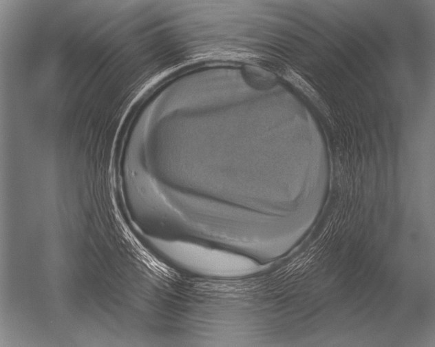 X0000051261028200507082211