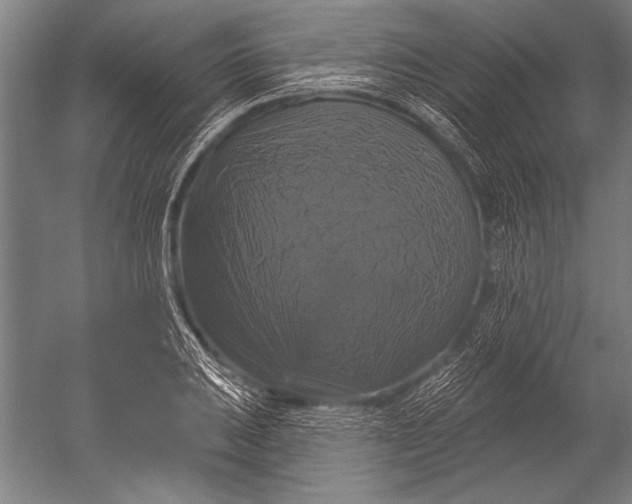 X0000051261031200507082211